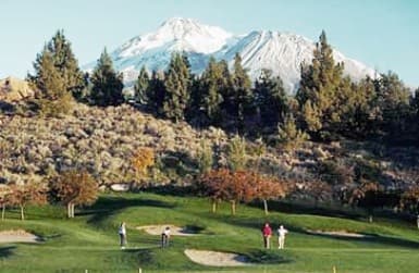 course image